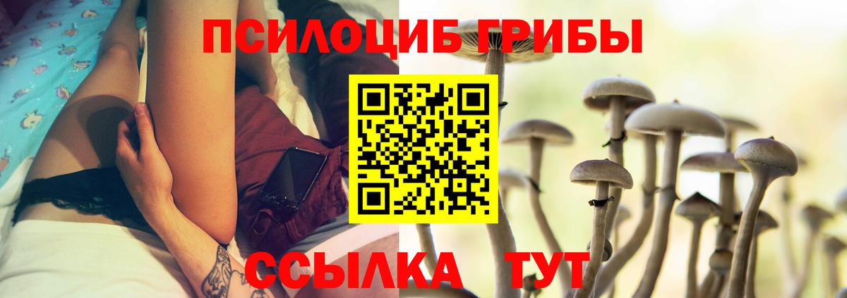 Галлюциногенные грибы Psilocybe  Вход с VPN  Галлюциногенные грибы MAGIC MUSHROOMS  Нурлат 