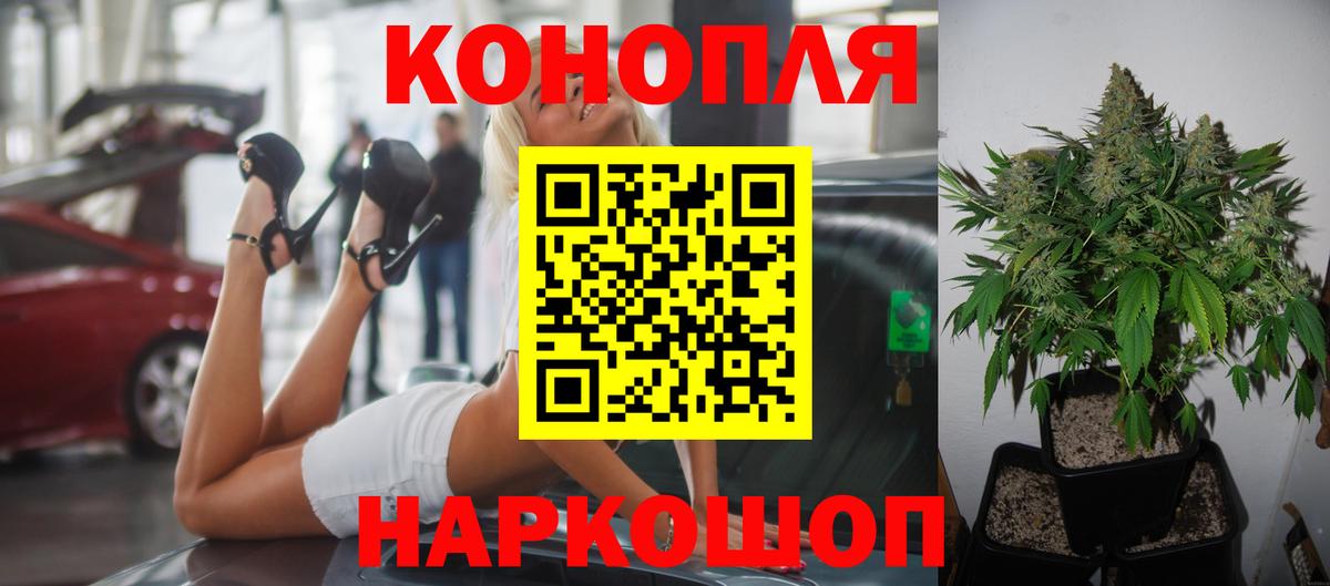 Конопля сатива  Бошки марихуана план  Вход с VPN  Бошки марихуана гибрид  Нурлат 